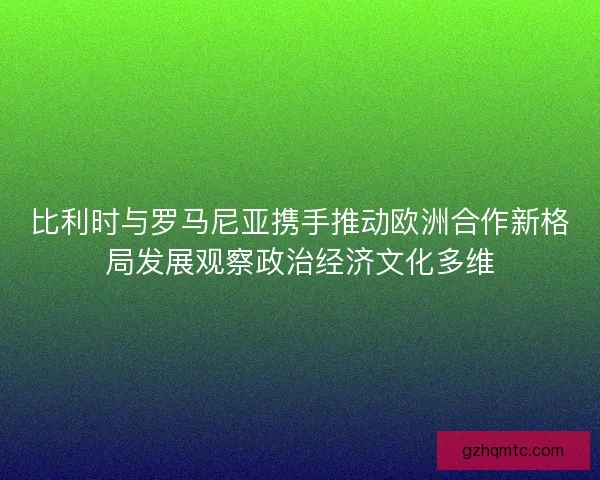 比利时与罗马尼亚携手推动欧洲合作新格局发展观察政治经济文化多维